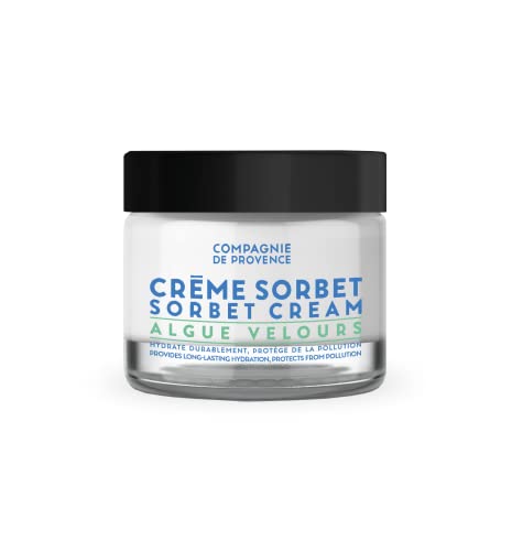 Compagnie de Provence Face Cream - 48-Hour Hydration, Mineral-Rich, Velvet Seaweed - 1.6 Fl Oz