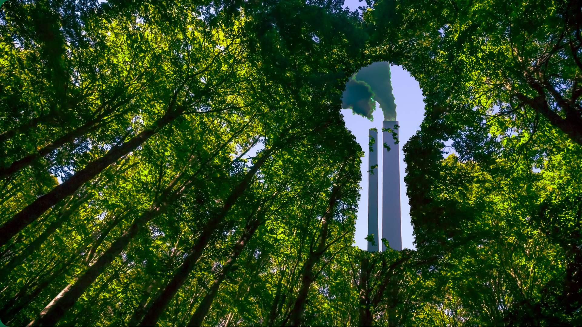 Greenwashing Exposed: How to Spot Eco-Friendly Posers