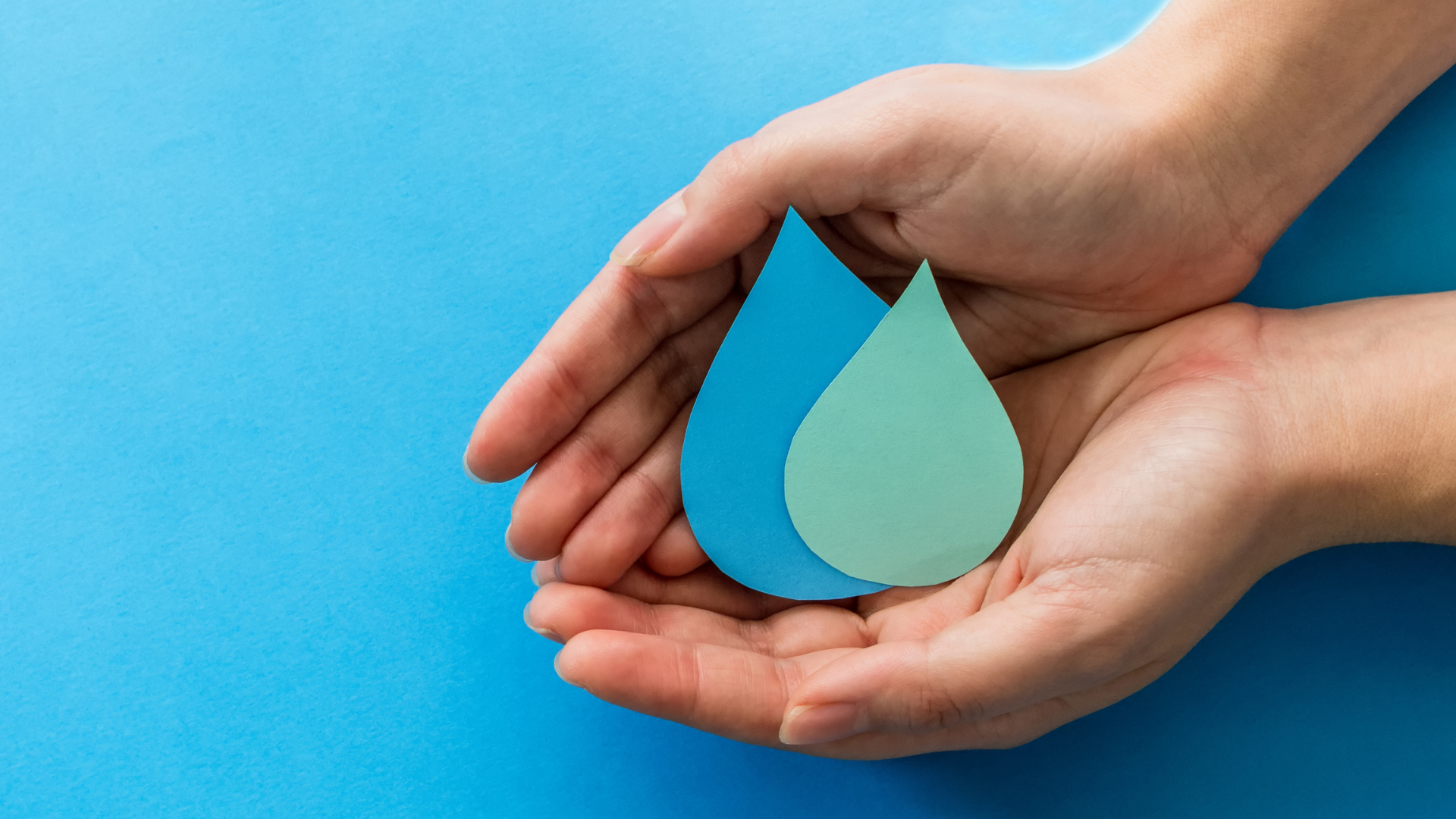 Sustainable Living Guide #9: Water Conservation