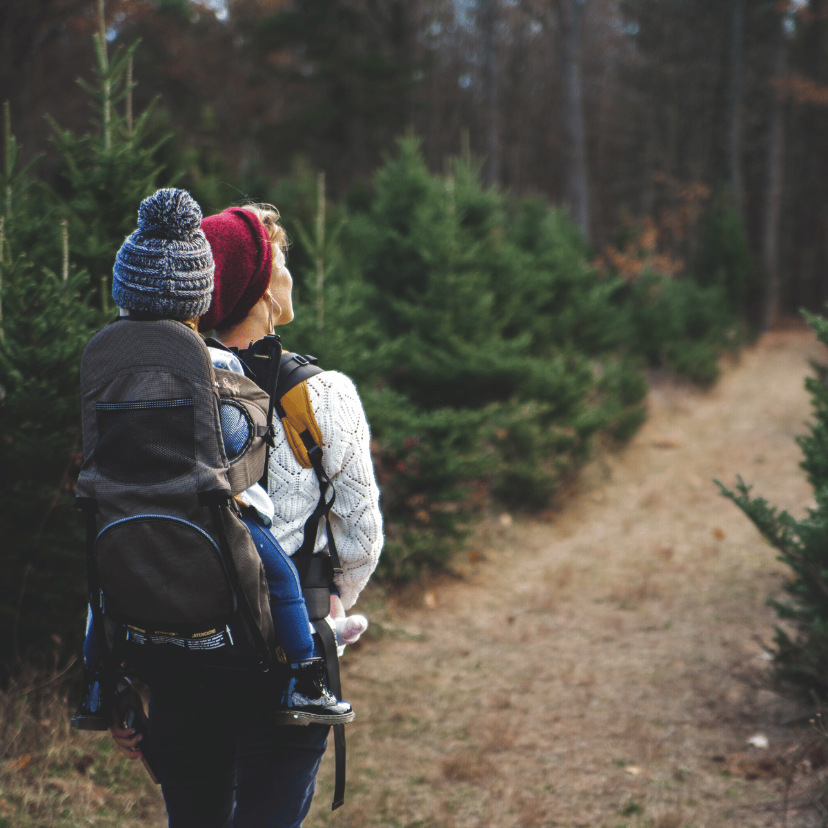 11 Eco Activities You Can Do with Your Mom
