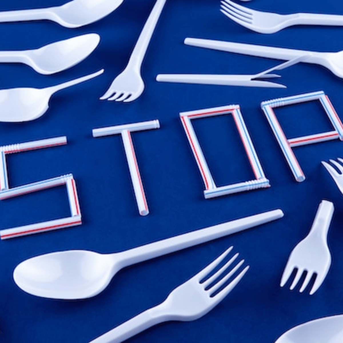 4 Eco-Friendly Alternatives to Plastic You Can Use in Your Daily Life