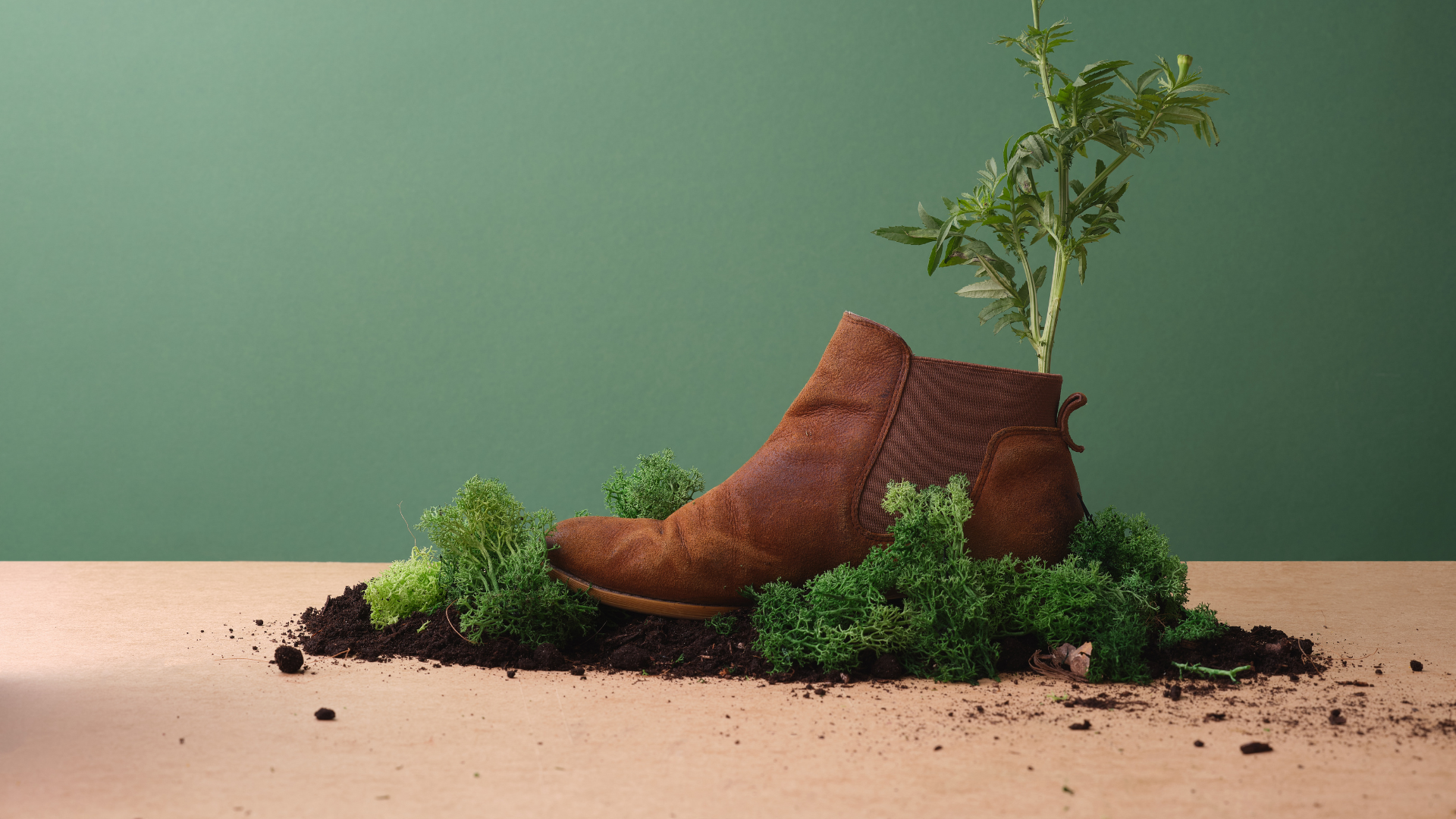 Eco-Friendly Shoes: Revolutionizing Footwear with Sustainability