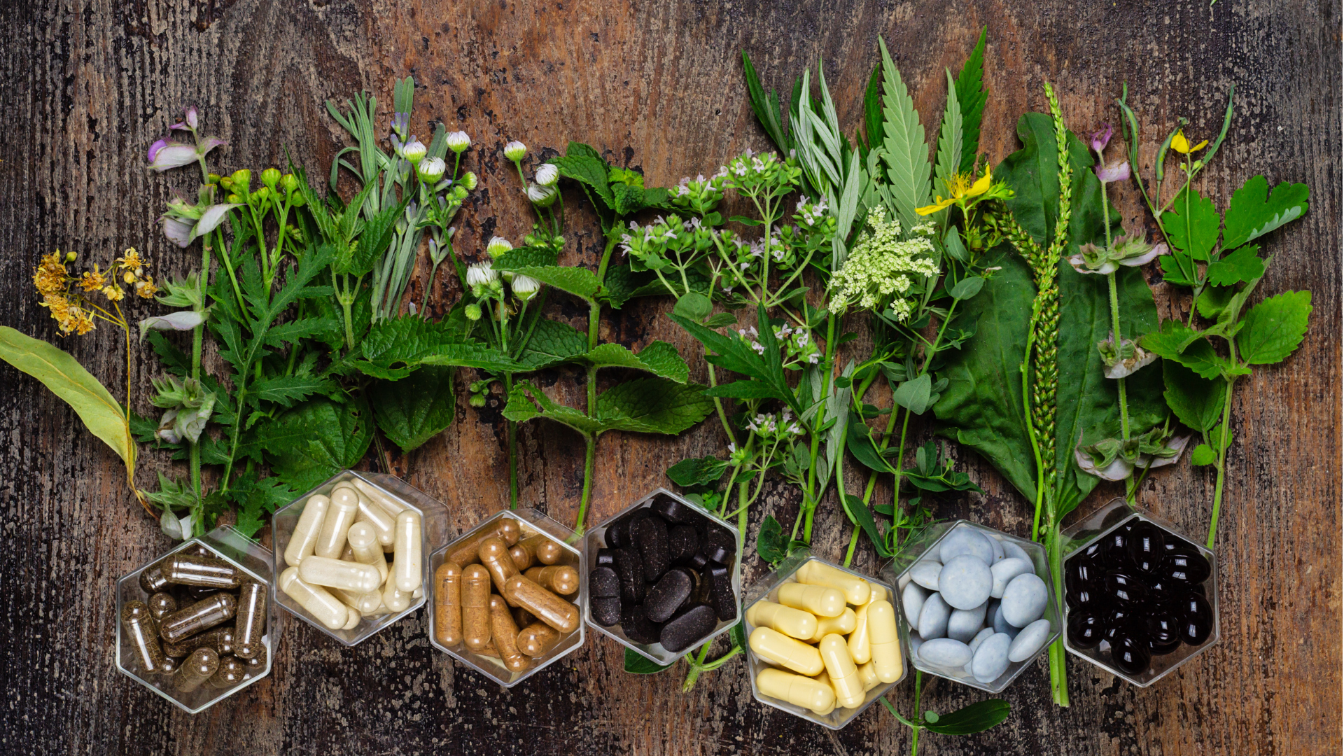 Boosting Winter Wellness: Natural Supplements and Their Benefits