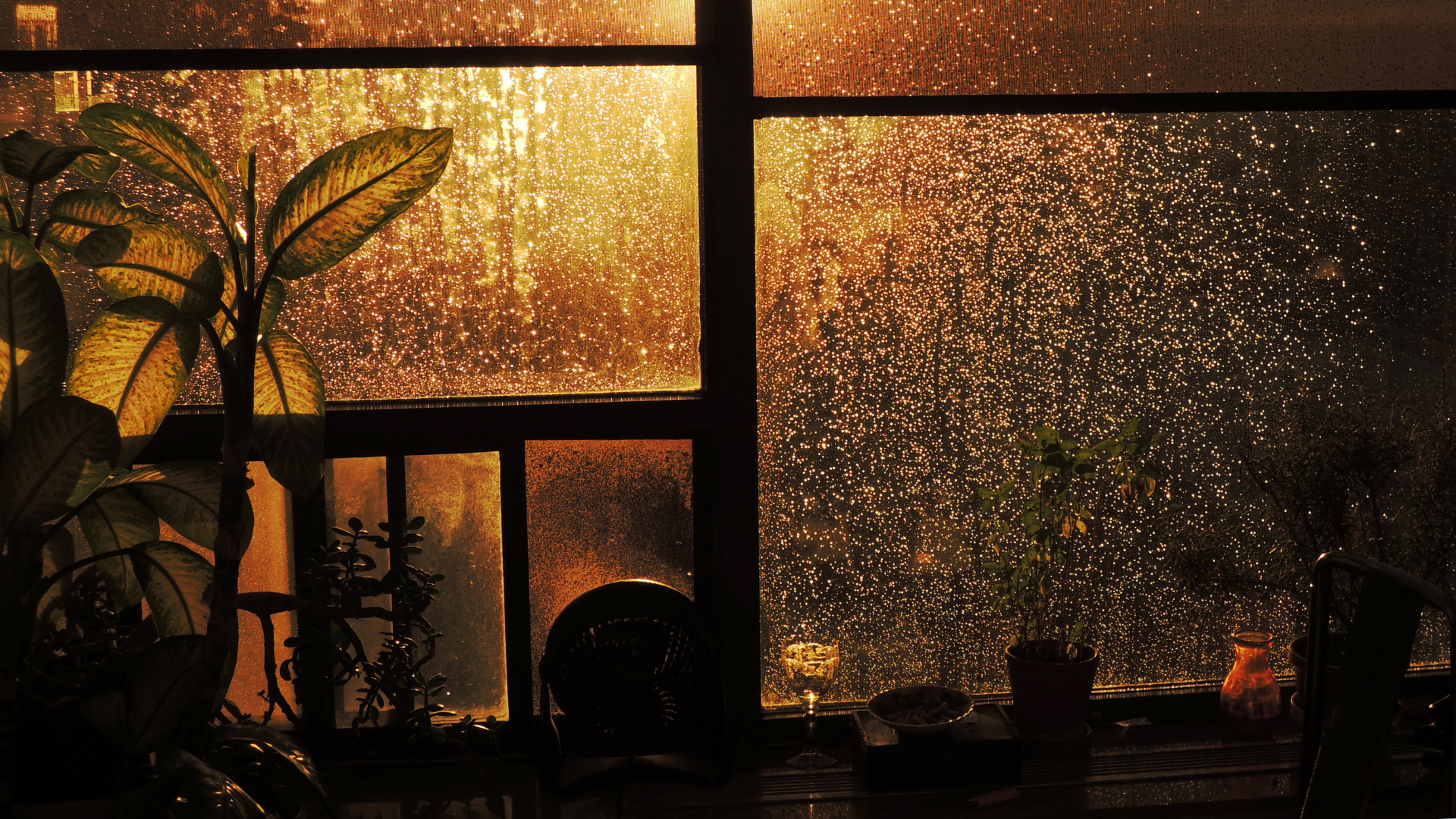 Why Does the Sound of Rain Help Us Sleep Comfortably?