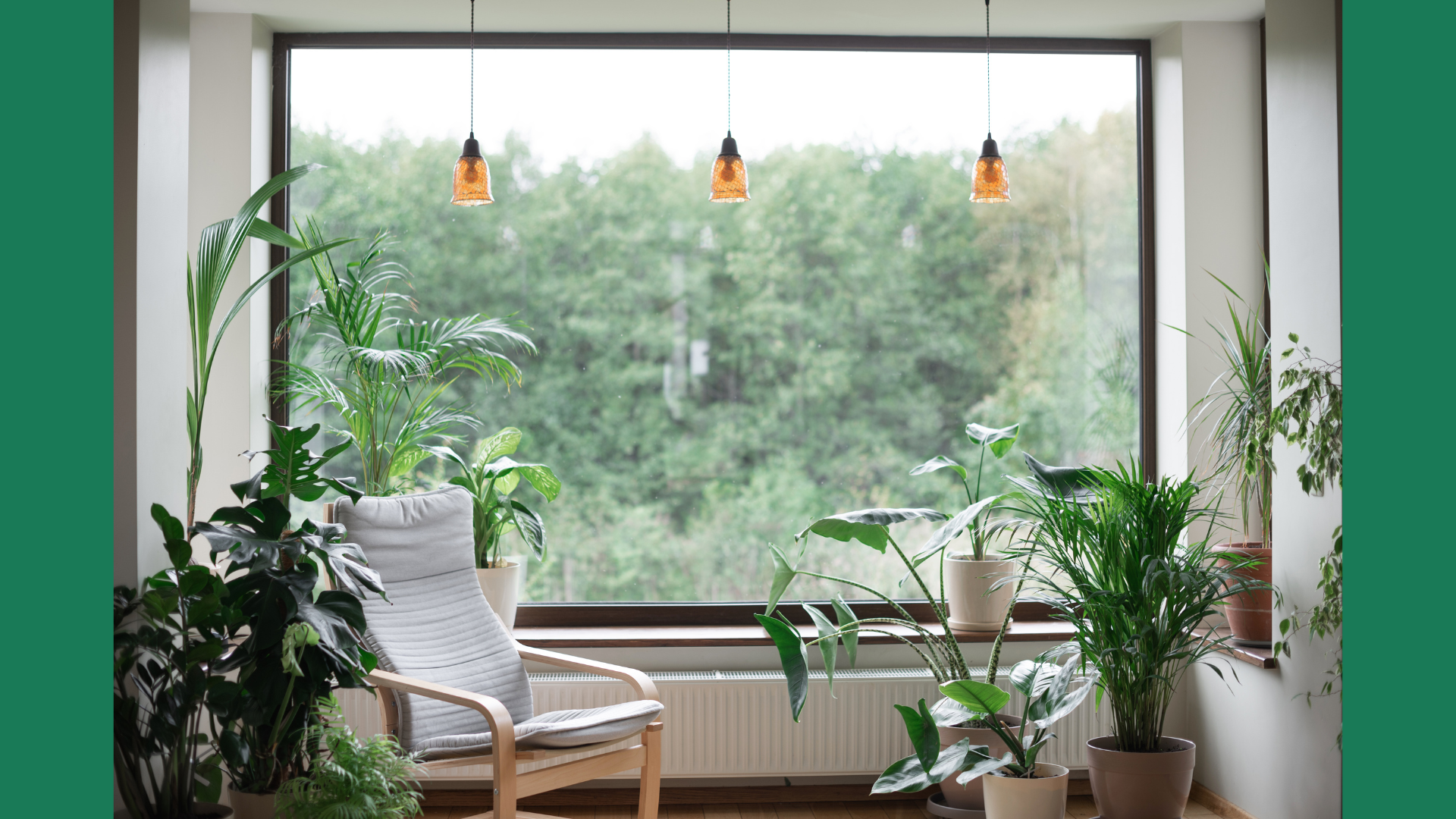 Sustainable Living Guide #2: Sustainable Home Care
