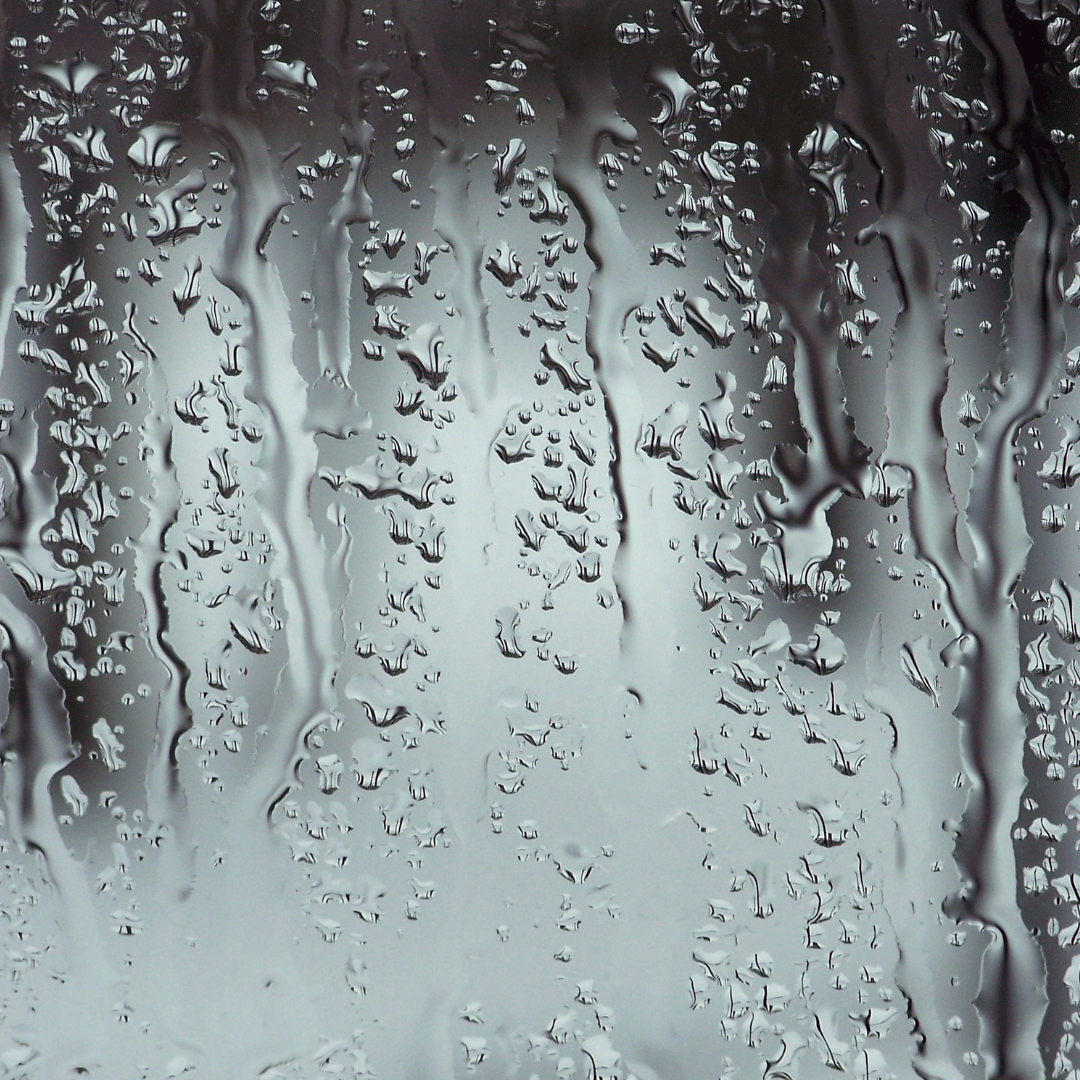Embrace the Cold for Enhanced Well-Being and Sustainable Living