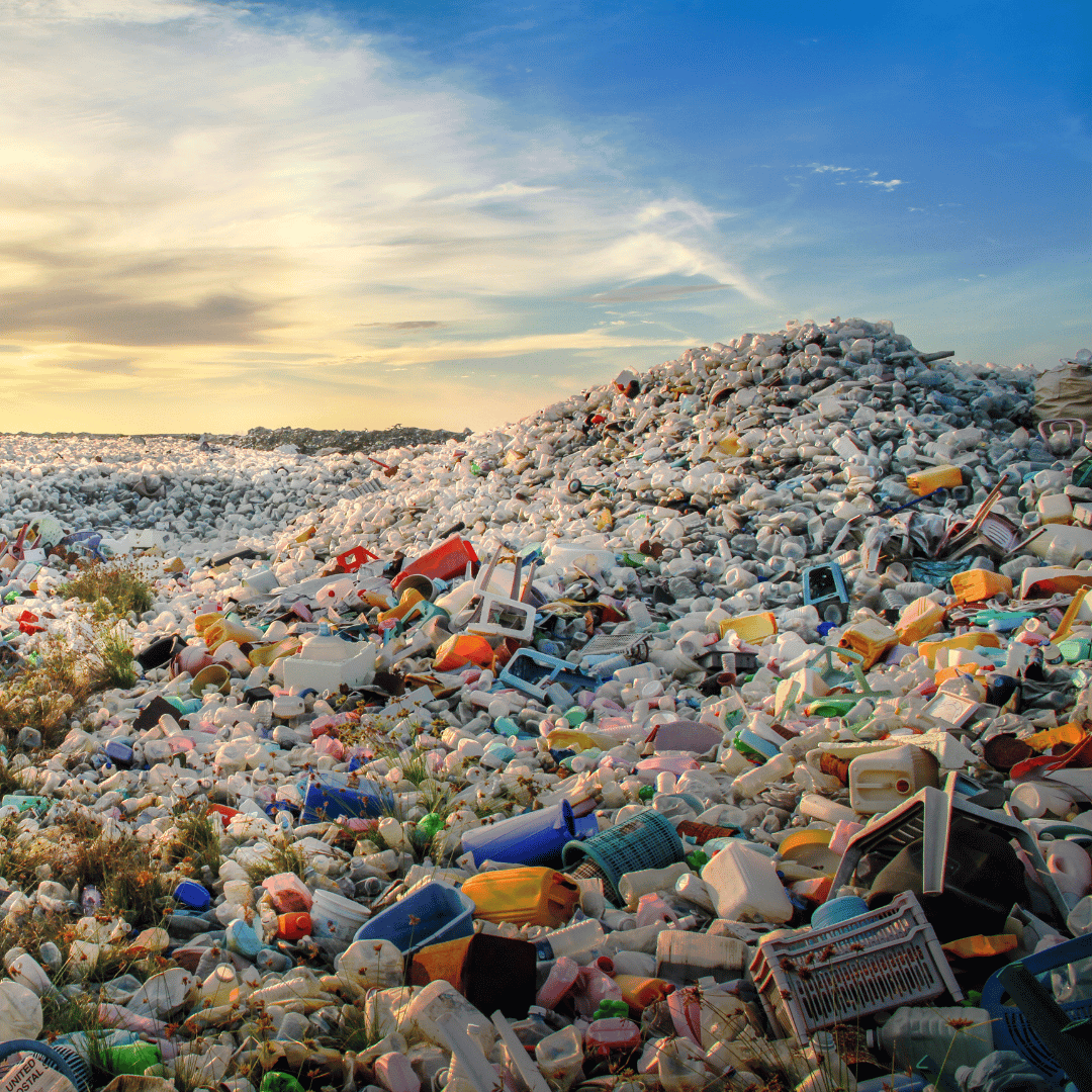 The Devastating Impact of Our Daily Waste