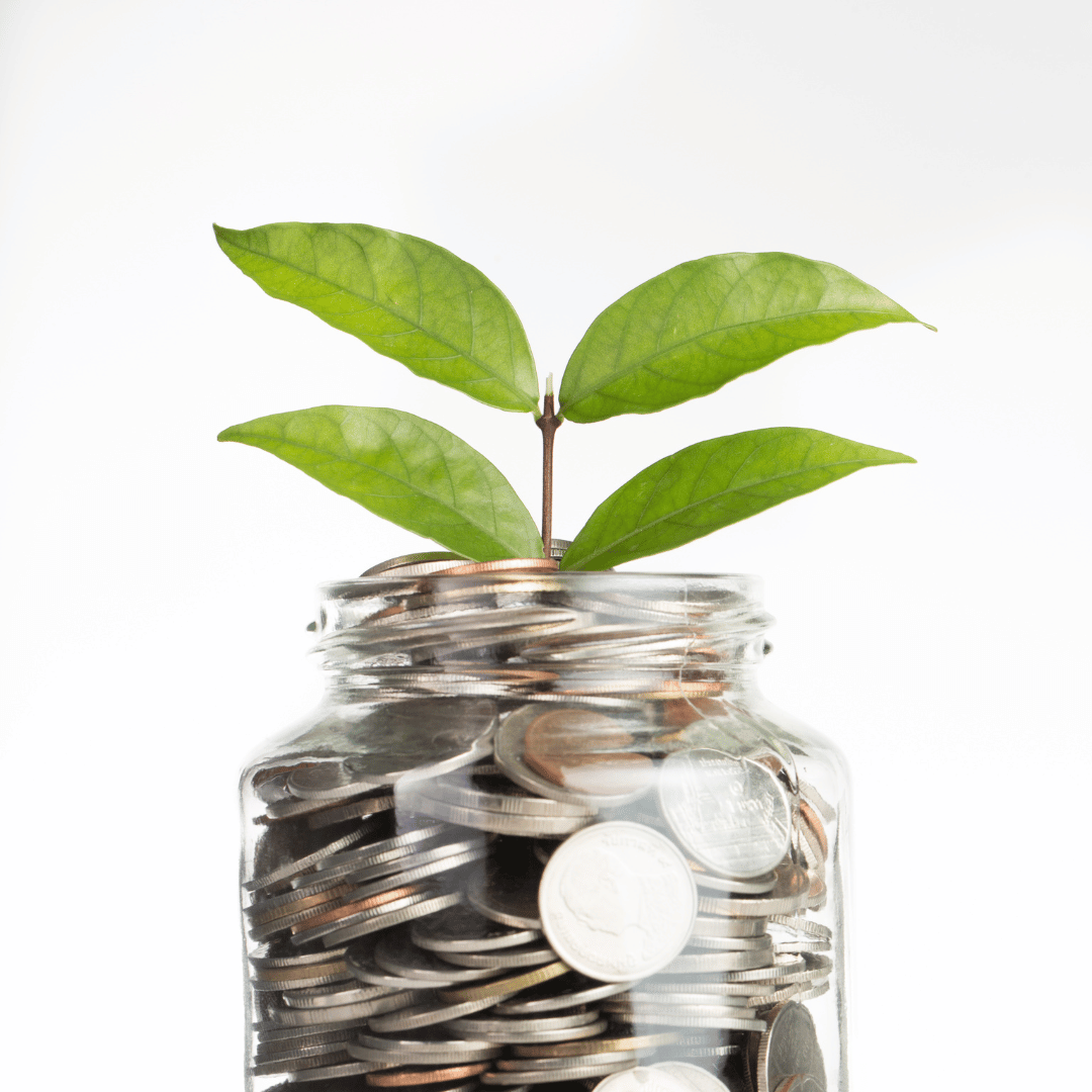 How to Live Sustainably on a Budget