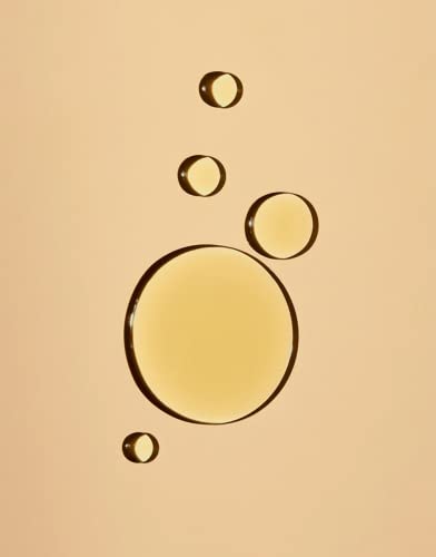 OSEA Undaria Algae Body Oil - Nourishing Moisturizer, Fast Absorbing - Fresh Citrus, 5 oz