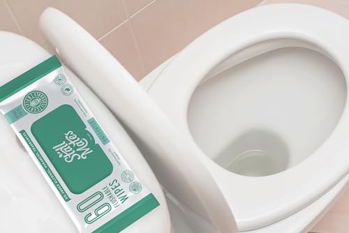 Stall Mates Adult Hygienic Wipes - Flushable, Hypoallergenic with Aloe & Vitamin E - 240 Wipes