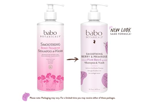 Babo Botanicals 2-in-1 Shampoo & Wash - Detangles, Nourishes, Hypoallergenic - Light Berry Scent