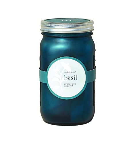 Modern Sprout Glass Jar Grow Set - Organic Basil Seed Starter, Indoor Hydroponic Kit - 1 Quart