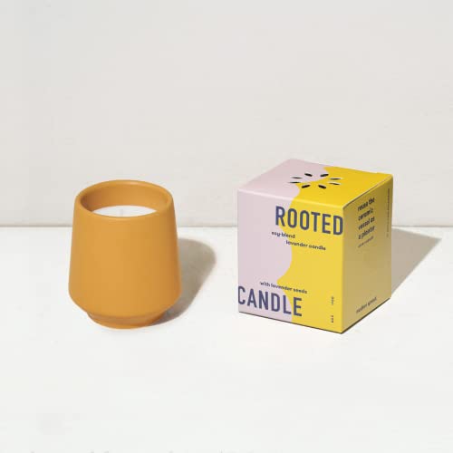 Modern Sprout Candle Grow Set - Organic Non-GMO Herb Garden with Lavender & Cedarwood - 6oz