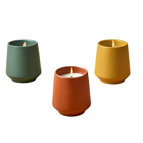 Modern Sprout Candle Grow Set - Transformative Indoor Herb Garden, Non-GMO Seeds, 3-Pack