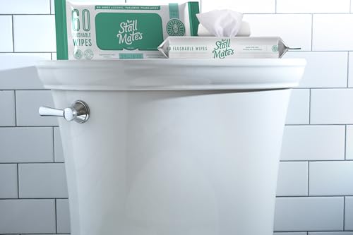 Stall Mates Adult Hygienic Wipes - Flushable, Hypoallergenic with Aloe & Vitamin E - 240 Wipes