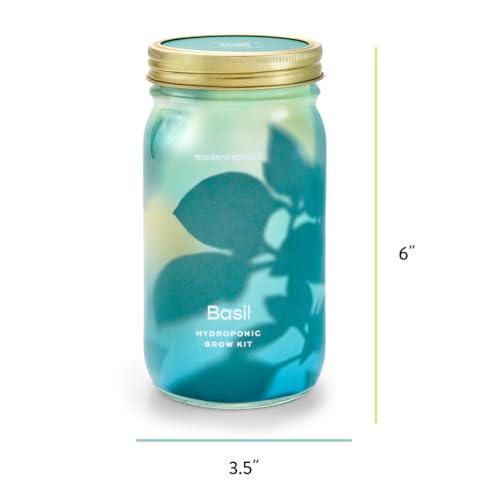 Modern Sprout Mason Jar Grow Set - Indoor Herb Garden with Organic Seeds, Reusable Kit - Basil