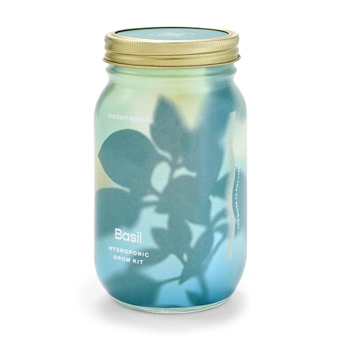 Modern Sprout Mason Jar Grow Set - Indoor Herb Garden with Organic Seeds, Reusable Kit - Basil