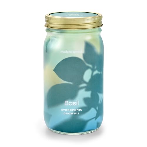 Modern Sprout Mason Jar Grow Set - Indoor Herb Garden with Organic Seeds, Reusable Kit - Basil