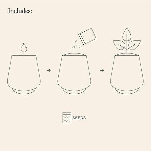 Modern Sprout Candle Grow Set - Organic Non-GMO Herb Garden with Lavender & Cedarwood - 6oz