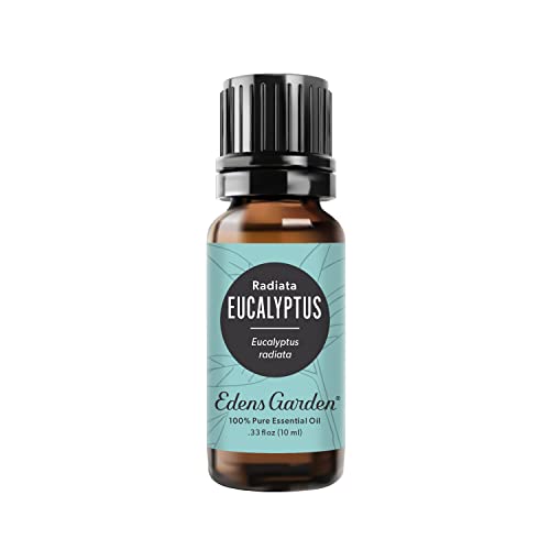 Edens Garden Eucalyptus Radiata Essential Oil - Respiratory Support, Natural Aroma - 10ml
