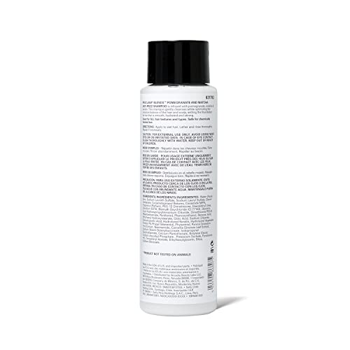 Proclaim Blends Pomegranate & Matcha Shampoo - Strengthens, Moisturizes, 16 Fl Oz