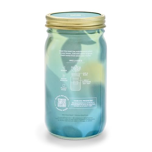 Modern Sprout Mason Jar Grow Set - Indoor Herb Garden with Organic Seeds, Reusable Kit - Basil