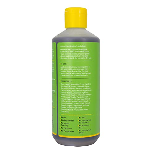 Alaffia Everyday Coconut Shampoo - Hydrating & Gentle for Curly Hair, Vitamin E & Ginger - 16oz