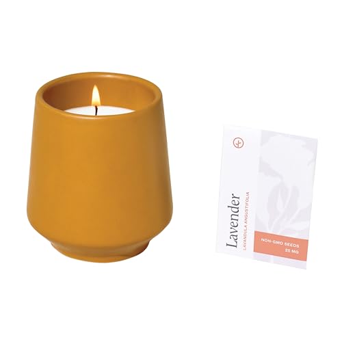 Modern Sprout Candle Grow Set - Transformative Indoor Herb Garden, Non-GMO Seeds, 3-Pack