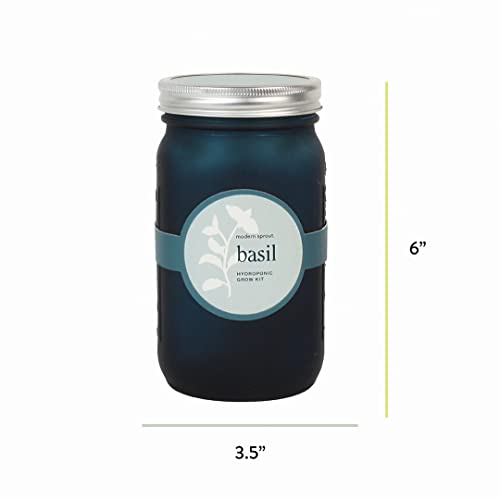 Modern Sprout Glass Jar Grow Set - Organic Basil Seed Starter, Indoor Hydroponic Kit - 1 Quart