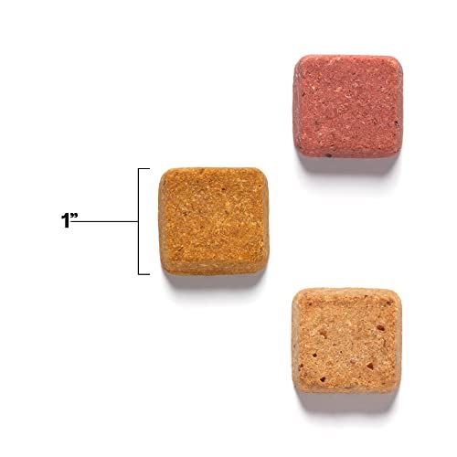 Wild Earth Dog Treats - Complete Protein, Omega Acids & Prebiotics, Peanut Butter Flavor - 15 Cal