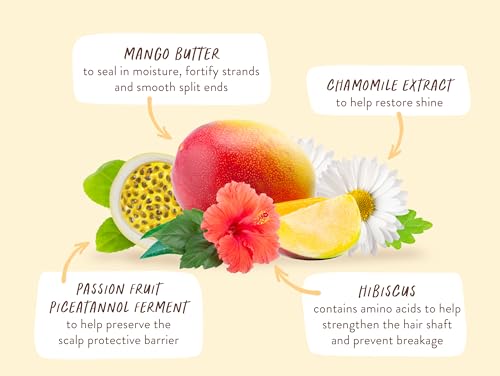 Babo Botanicals Mango & Hibiscus Shampoo - Moisturizes & Softens Color-Treated Hair - 12oz