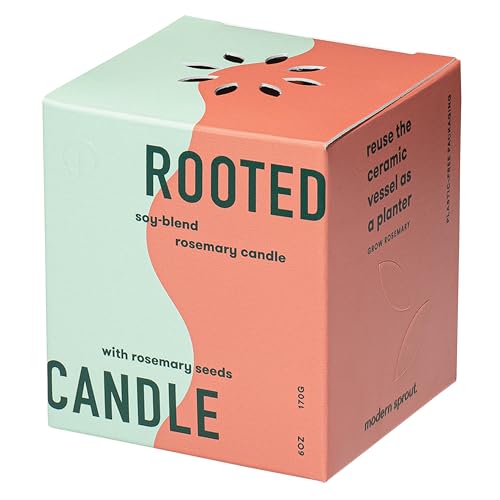 Modern Sprout Candle Grow Set - Transformative Indoor Herb Garden, Non-GMO Seeds, 3-Pack