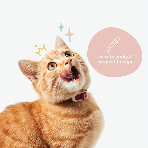 kin+kind Cat Ear Cleaner - Eliminates Wax & Odor with Natural Ingredients - 4oz