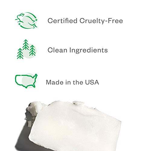 Ursa Major Natural Deodorant - Odor Eliminator, Aluminum-Free, Non-Staining - 2.6oz Forest Fix