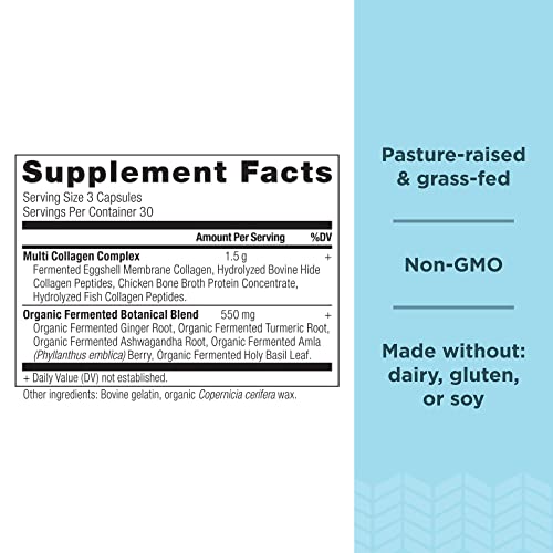 Ancient Nutrition Collagen Protein Powder - Supports Skin, Joints, and Gut Health - 90 Capsules