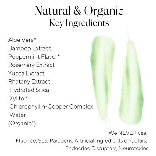 PLUS ULTRA Natural Gel Toothpaste - Whitening & Sensitivity Relief, Fluoride-Free - 4.7oz