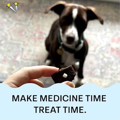 Chippin Dog Treat - Hypoallergenic Cricket & Sweet Potato, Supports Gut Health - 5oz