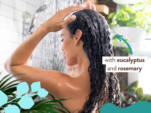 Babo Botanicals Eucalyptus Remedy Shampoo & Body Wash - Nourishing, Vegan, EWG Verified - 8oz