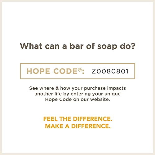 Soapbox Foaming Hand Soap - Moisturizing Citrus & Fennel, Vegan & Paraben Free - 11oz, 3 Pack