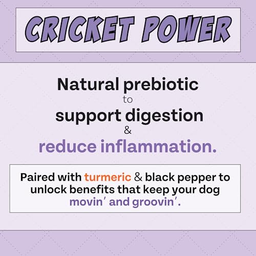 Chippin Blueberry Cricket Dog Treat - Natural Joint Health, Hypoallergenic, 5oz