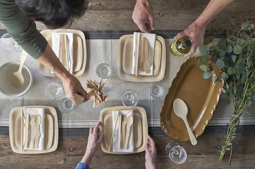 Bambu Disposable Bamboo Square Plates - Organic, Biodegradable, Heavy Duty, 11" - Pack of 25
