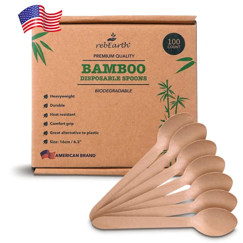 rebEarth Bamboo Disposable Spoons - Durable, Heat Resistant, Compostable - 100 Count, 6"