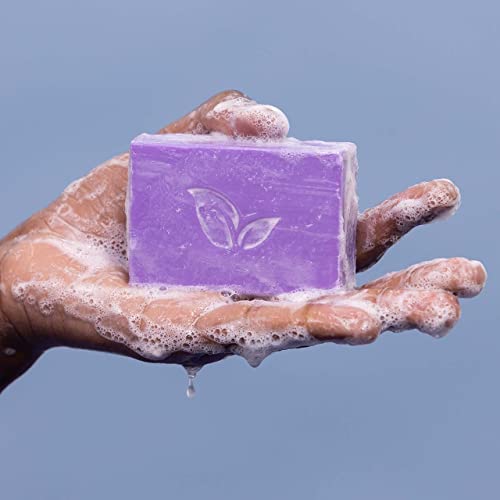 Ethique Lavender & Peppermint Body Wash - Creamy Hydration, Vegan & Cruelty-Free - 4.23 oz