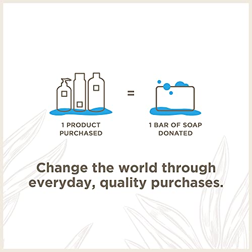 Soapbox Foaming Hand Soap - Moisturizing Citrus & Fennel, Vegan & Paraben Free - 11oz, 3 Pack