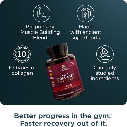 Ancient Nutrition Collagen Protein Powder - Muscle Support, Probiotics & Lean Body - 90 Count