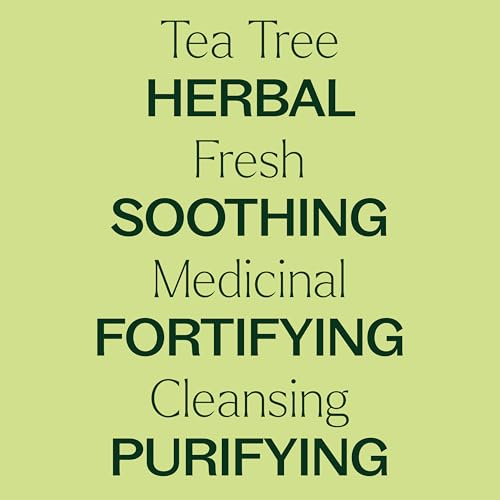 Plant Therapy Tea Tree Essential Oil - Soothes Skin, Purifies Air, Immune Support - 30 mL