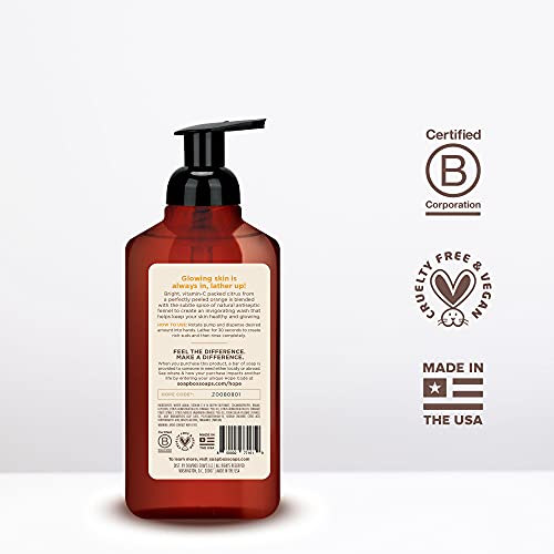 Soapbox Foaming Hand Soap - Moisturizing Citrus & Fennel, Vegan & Paraben Free - 11oz, 3 Pack