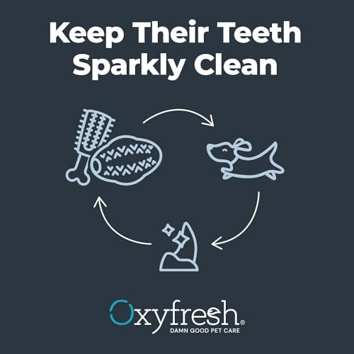 Oxyfresh Dog Dental Toy - Durable Rubber Chew for Teeth Cleaning & Fresh Breath - 5in