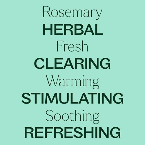 Plant Therapy Rosemary Essential Oil - Promotes Hair Growth, Cognitive Boost - 10 mL