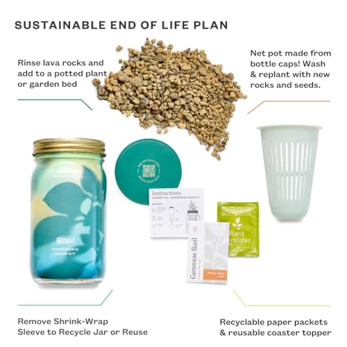 Modern Sprout Mason Jar Grow Set - Indoor Herb Garden with Organic Seeds, Reusable Kit - Basil